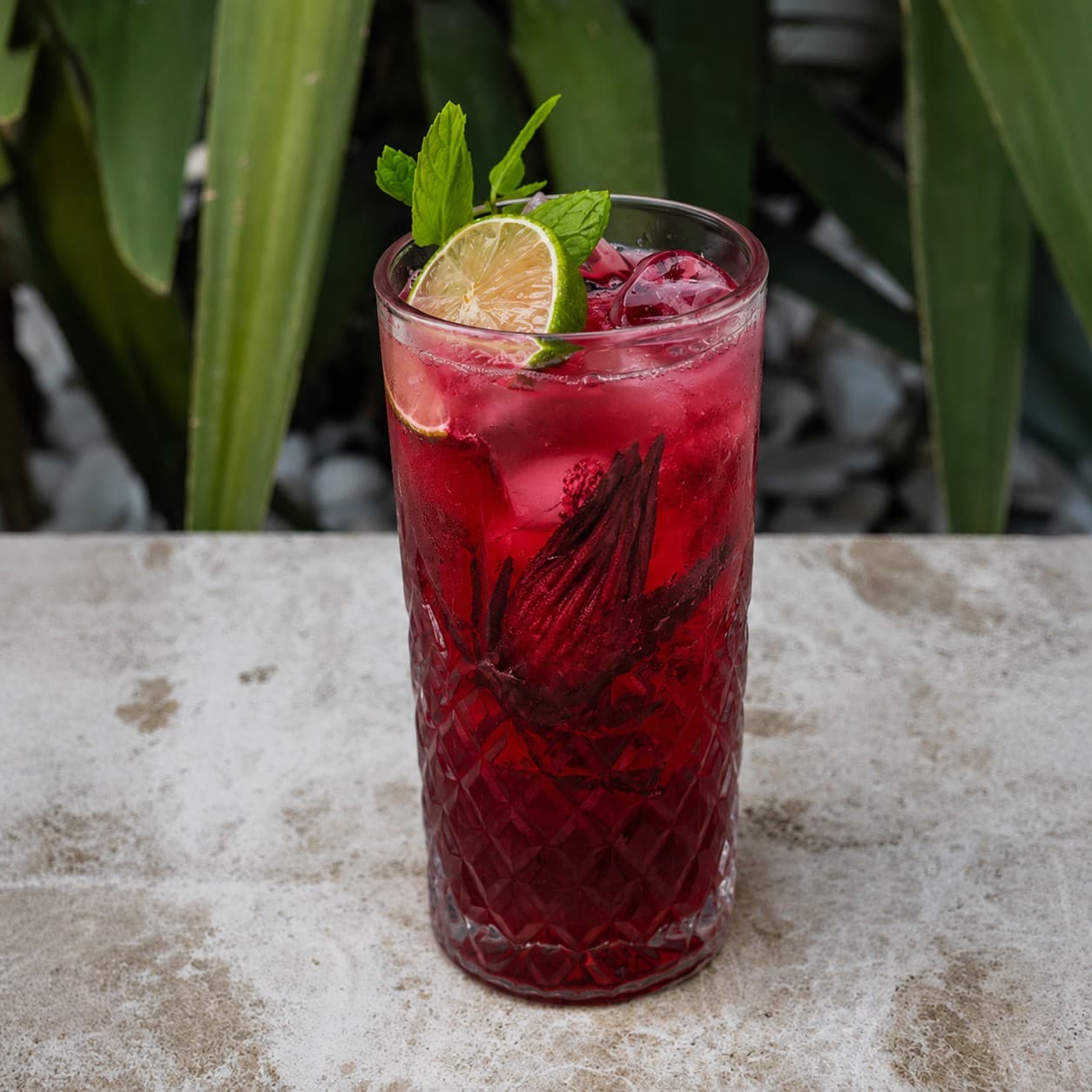 Hibiscus